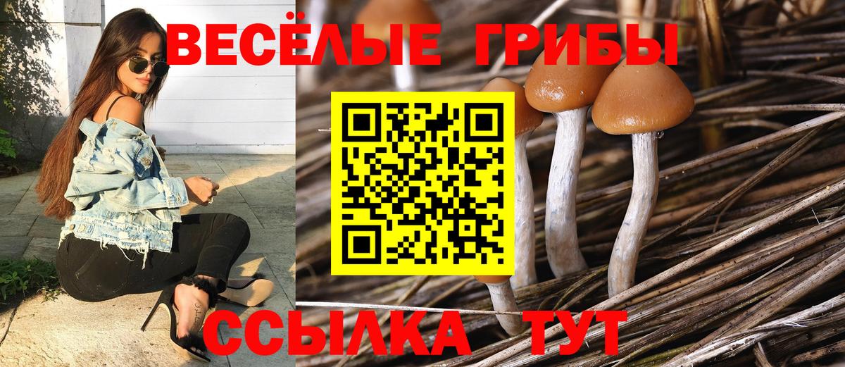 Галлюциногенные грибы GOLDEN TEACHER  что такое   Альметьевск  Вход с VPN  Галлюциногенные грибы прущие грибы 